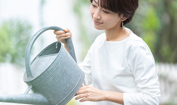 サボテンの基本的な水やり頻度とは?