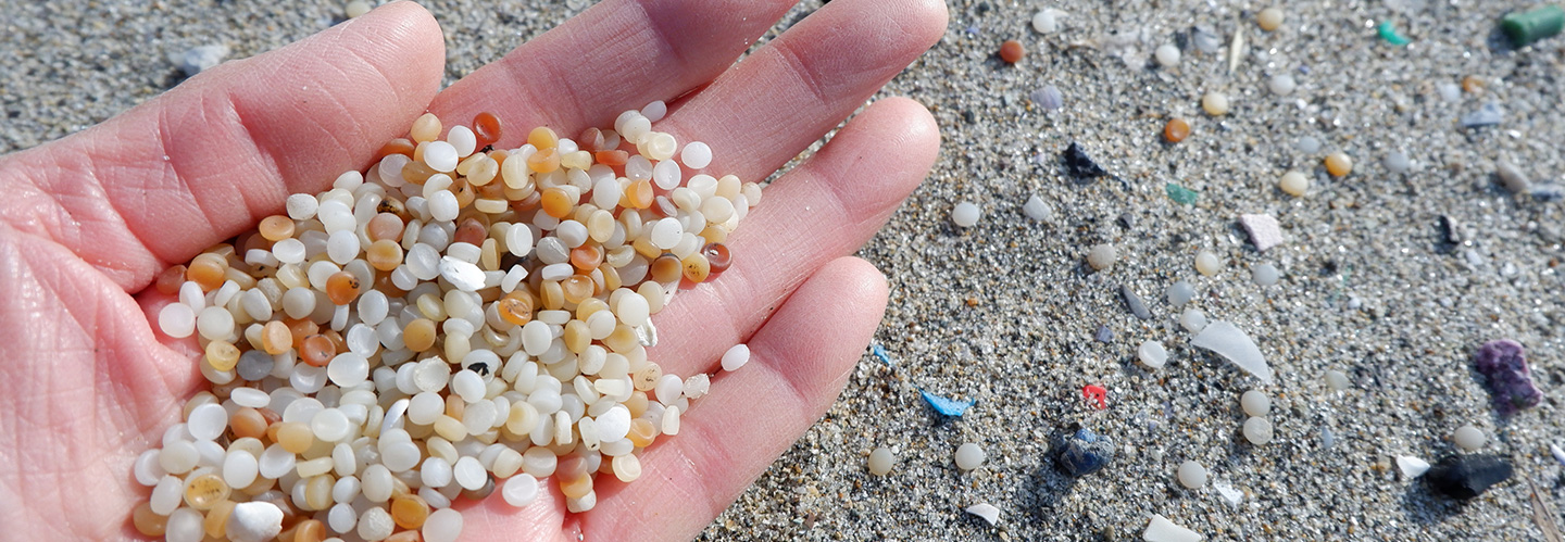 マイクロプラスチックとは？環境に与える影響や減らすための取り組みを紹介