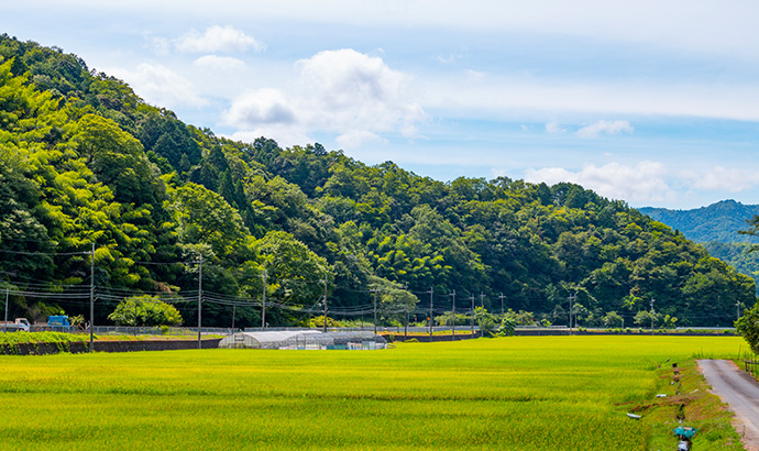 「景観」が素晴らしい名水の採水地