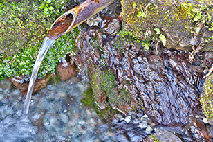 湧き水は飲んでいいの？安全に飲める方法や注意すべき点について解説