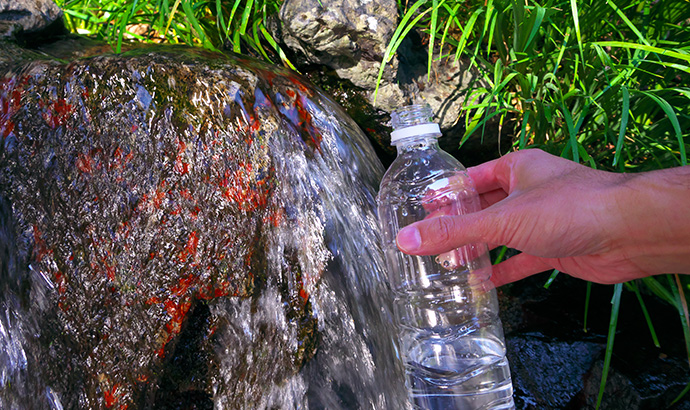 湧き水の役割