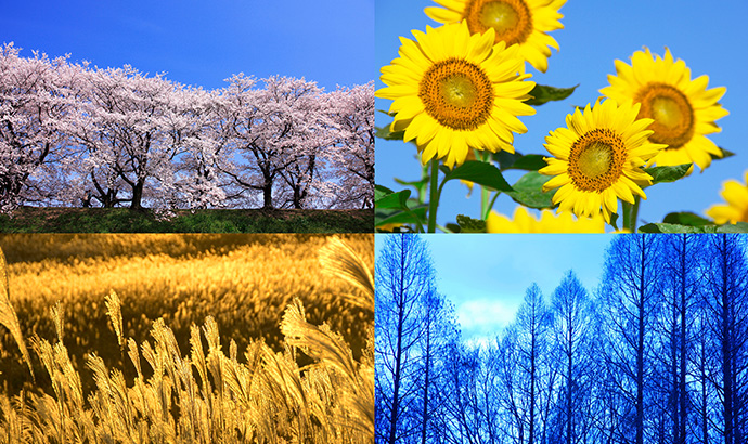 水道光熱費は季節によって違う？