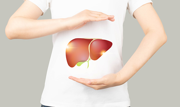 そもそもアルコールはどのように吸収・分解されている？