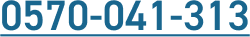 0570-041-313