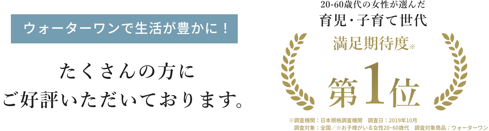 たくさんの方にご好評いただいております。