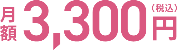 3,300円