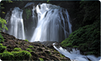 ウォーターワン 島根 12L