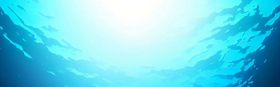 久米島の豊かな海